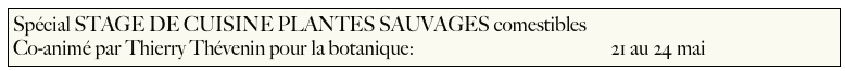 Spécial STAGE DE CUISINE PLANTES SAUVAGES comestibles
Co-animé par Thierry Thévenin pour la botanique:                                                21 au 24 mai