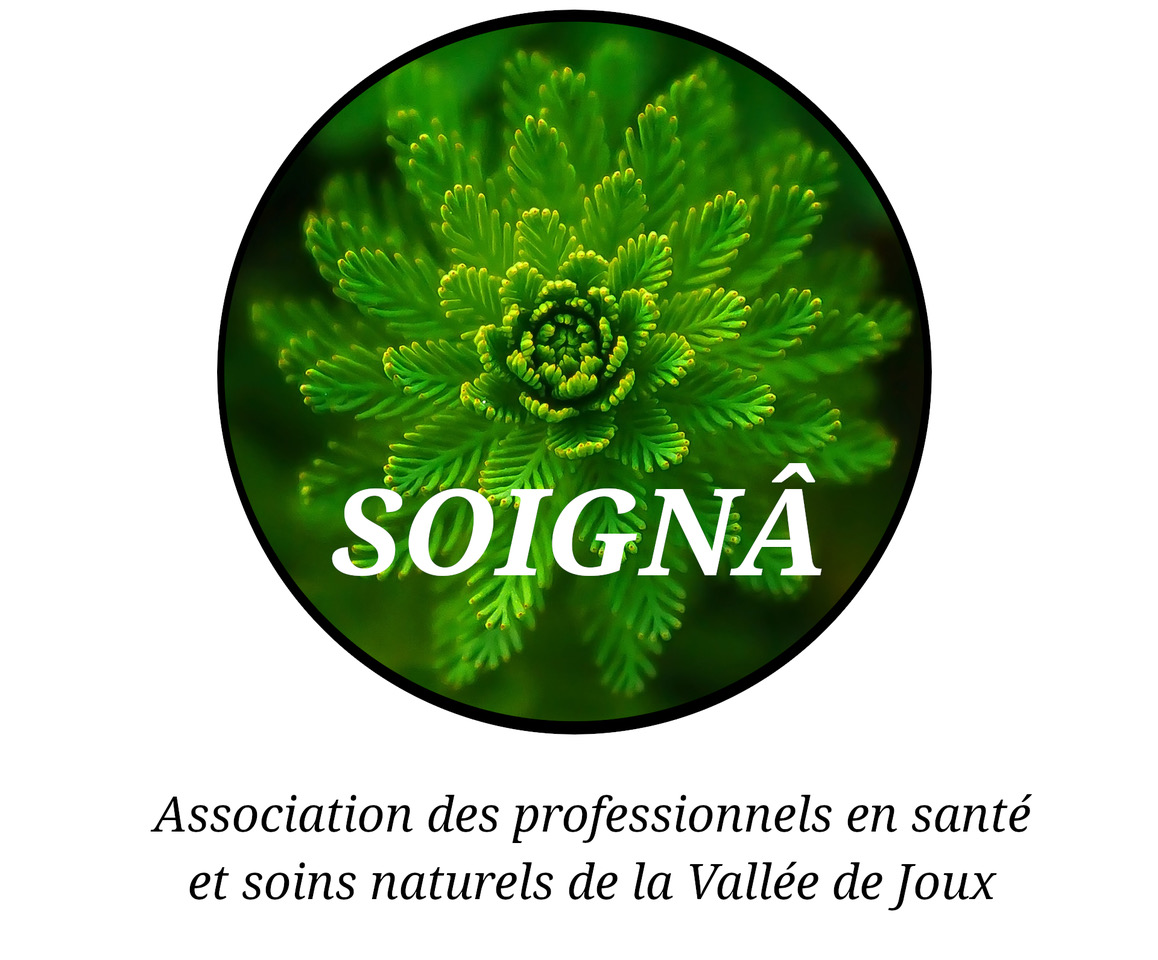 Logo officiel